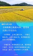 <b>秋粮收成已过半 看各地良种良法保丰收</b>