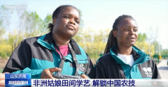非洲姑娘正在田间地头感触感染中国农业