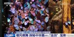 文化中国行丨探秘中华第一“虫羽”宝库
